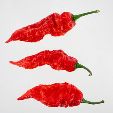 Sepia Reaper x Pimenta de Neyde Pepper Seeds - The Pepper Pantry (Formerly Marie Sharp's)